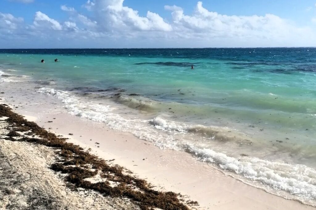 mexico-on-a-budget-akumal-beach