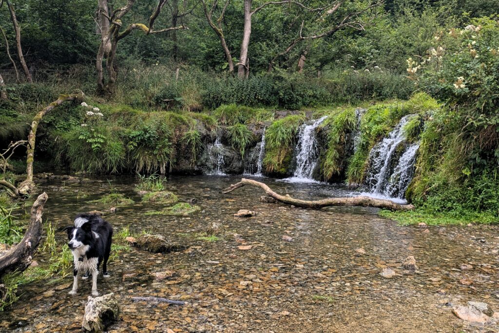places-to-visit-in-the-peak-district-lathkill-dale