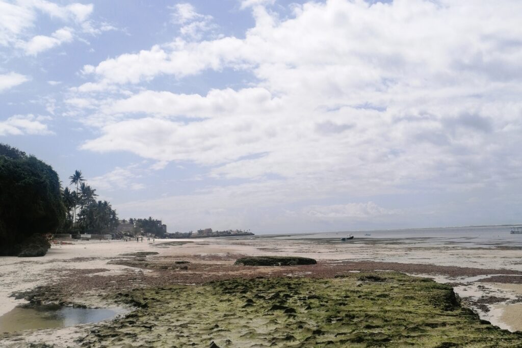 kenya-things-to-do-mombasa-beach