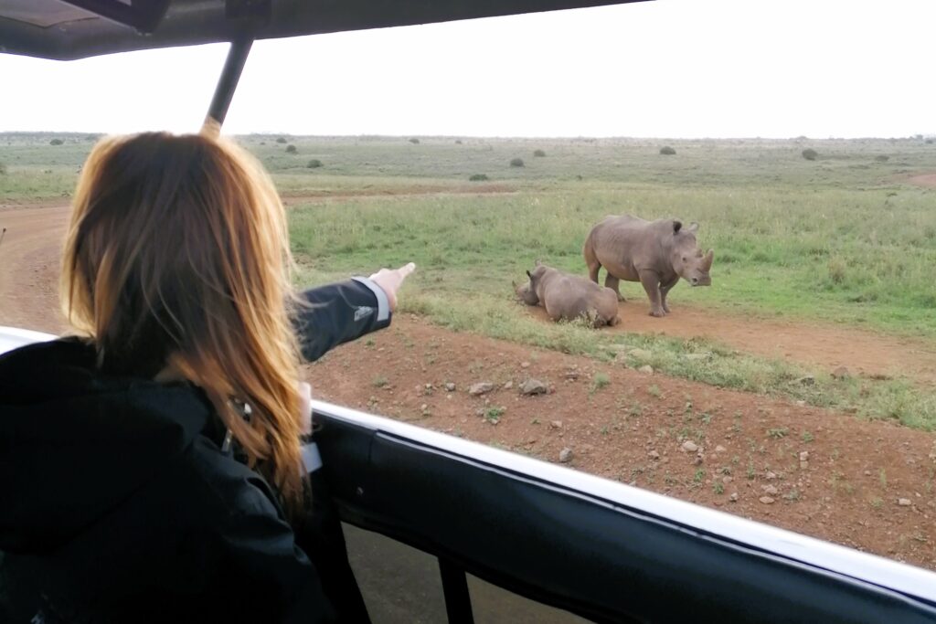 kenya-things-to-do-safari-rhino