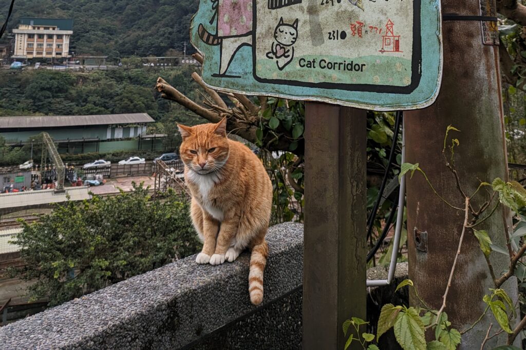 taiwan-7-day-itinerary-houtong-cat-village