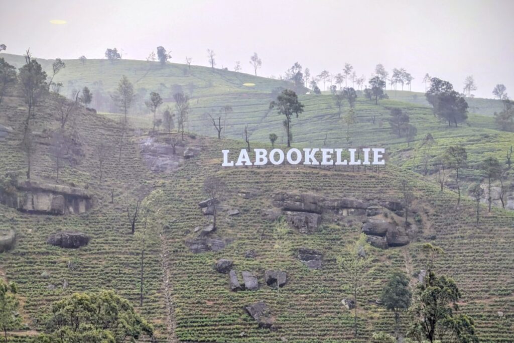 kandy-to-ella-by-car-labookellie-tea