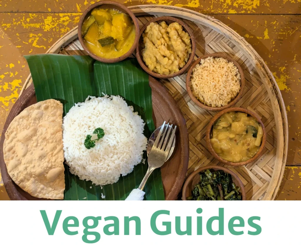 our-travel-ticket-vegan-guides