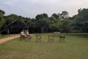 wilpattu-national-park-mahoora