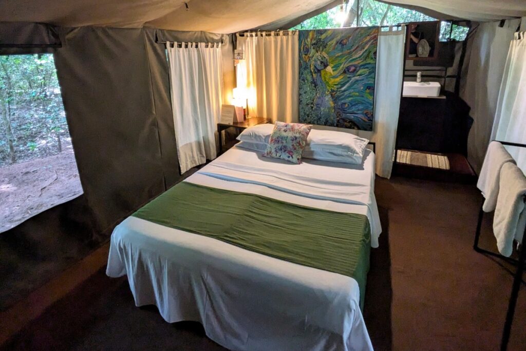 wilpattu-national-park-review-accommodation