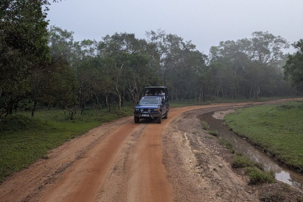 wilpattu-national-park-review-jeep