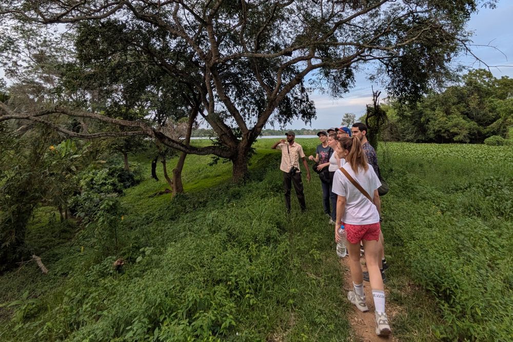 wilpattu-national-park-review-walk