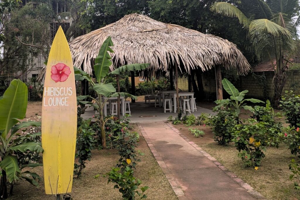 is-sri-lanka-vegan-friendly-hibiscus