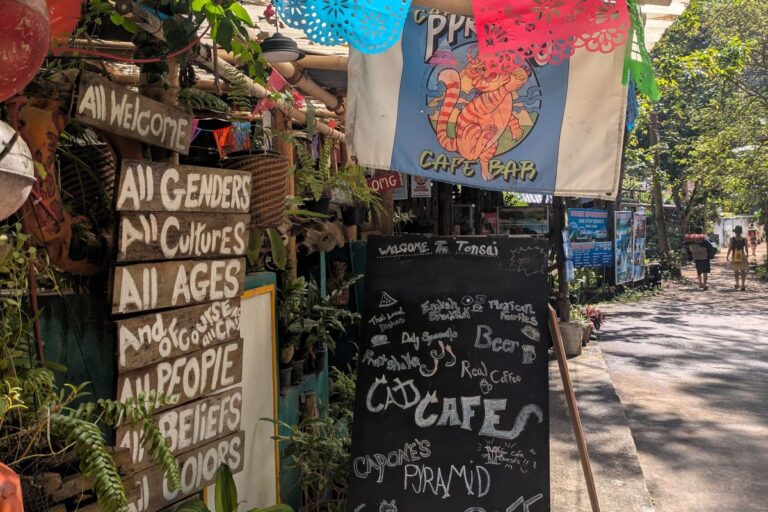 krabi-cat-cafe-capones-pyramid-cafe
