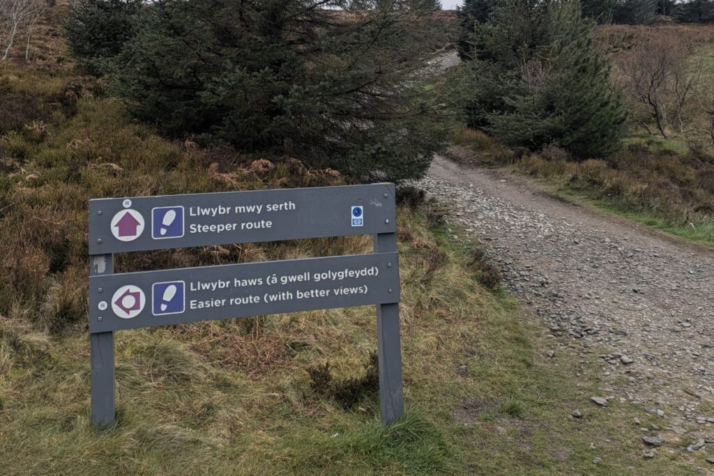moel-famau-hike-trail