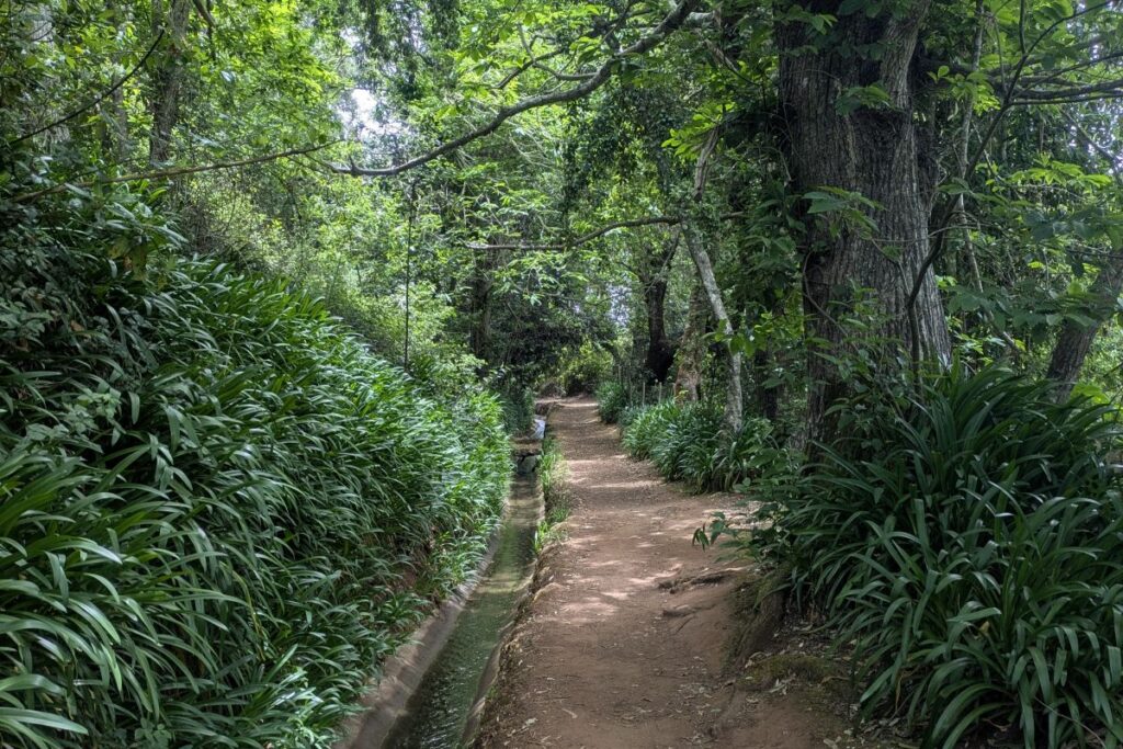 flat-hikes-in-madeira-levada-da-serra-do-faial