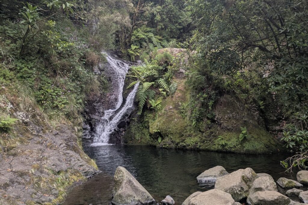 flat-hikes-in-madeira-ribeiro-frio-waterfall